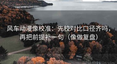 风车动漫像校准：先校对比口径齐吗，再把前提补一句（像做复盘）