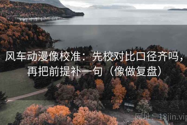 风车动漫像校准：先校对比口径齐吗，再把前提补一句（像做复盘）