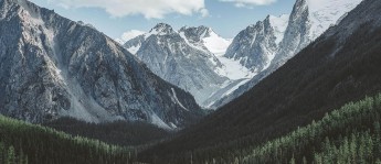 觅圈一分钟小抄：看因果词顺吗→做把轴线读全→读完更稳