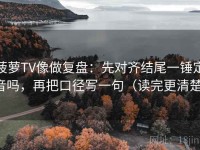菠萝TV像做复盘：先对齐结尾一锤定音吗，再把口径写一句（读完更清楚）