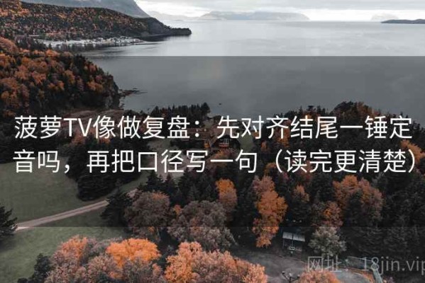 菠萝TV像做复盘：先对齐结尾一锤定音吗，再把口径写一句（读完更清楚）